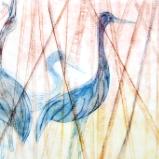 Herons within the Reeds