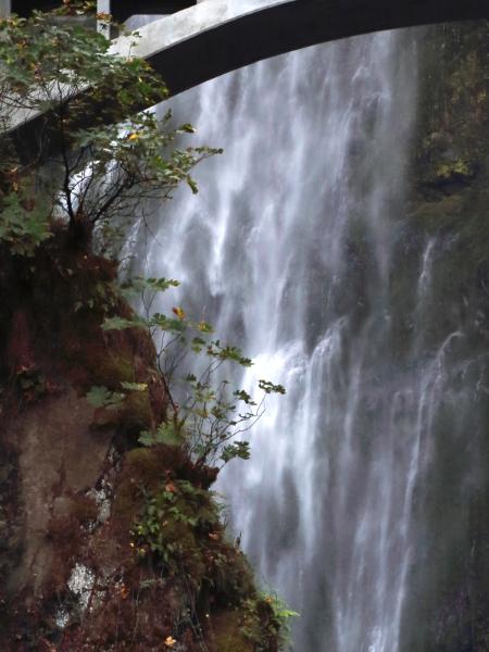 Multnomah Falls