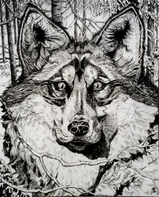 Commissioned Portrait of Mixed Breed Wolf/Dog Commissioned Portrait of Mixed Breed Wolf/Dog