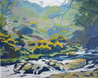 Along the East Okement river, Dartmoor