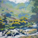 Along the East Okement river, Dartmoor