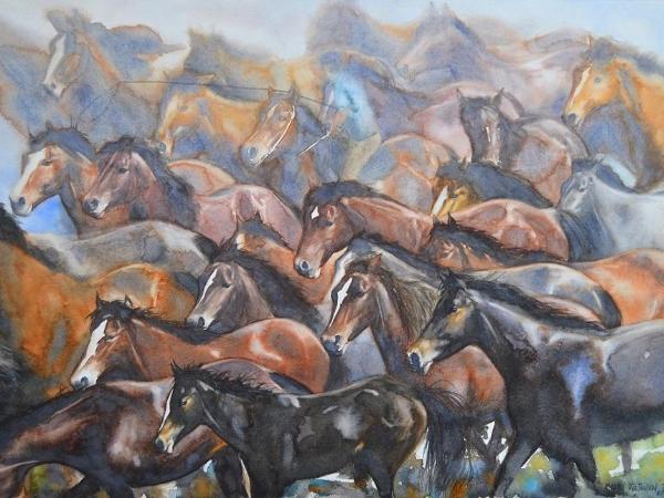 Herding wild horses, 76cm x 56cm, 2017