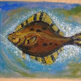 Starry Flounder