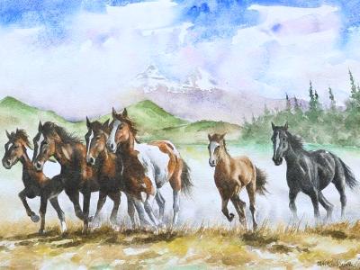 Horses of the Illinizas mountain, 35cm x 50cm, 2014