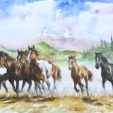 Horses of the Illinizas mountain, 35cm x 50cm, 2014