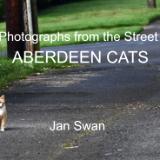 Photography from the Street: Aberdeen Cats