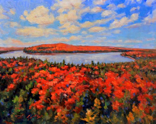 In Algonquin Park’s Heart