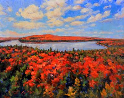 In Algonquin Park’s Heart In Algonquin Park’s Heart