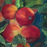 Apples