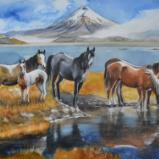 The wild horses of the Cotopaxi National Park, 38cm x 56cm, 2021