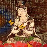 Beautiful Butterflies