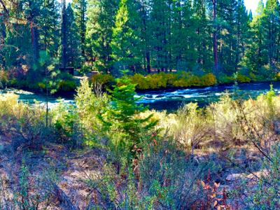 Follow the River Follow the River