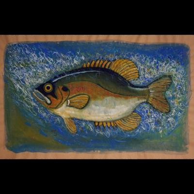 Ode to a Rock Bass Ode to a Rock Bass