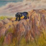 Wild Cats of the World Wild Cats of the World