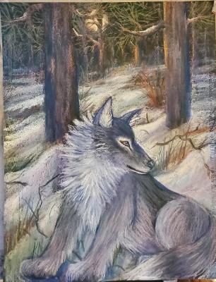 Lone Wolf in Snowy landscape
