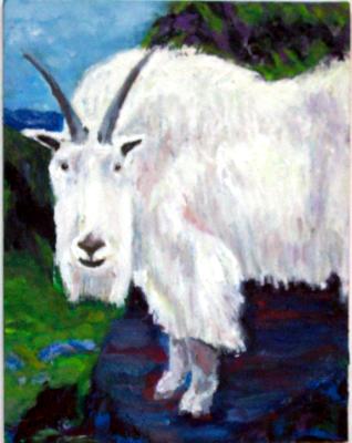 Mountain Goat