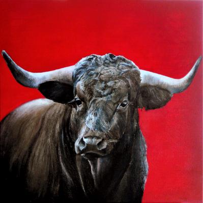 Brave bull on red