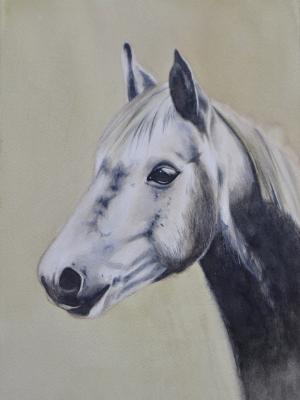 TINKABELLE, 25cmx x 35cm, 2017 TINKABELLE, 25cmx x 35cm, 2017