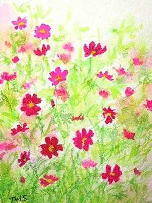Dance in the Summer Breeze Dance in the Summer Breeze