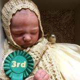Show entry 2nd place ~ 2016 Doll show annually every August