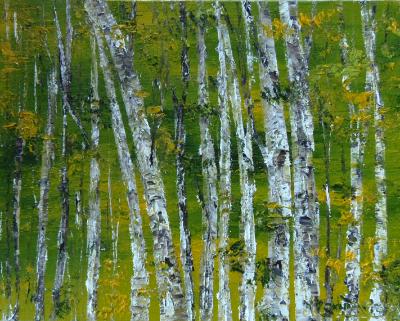 birch 7