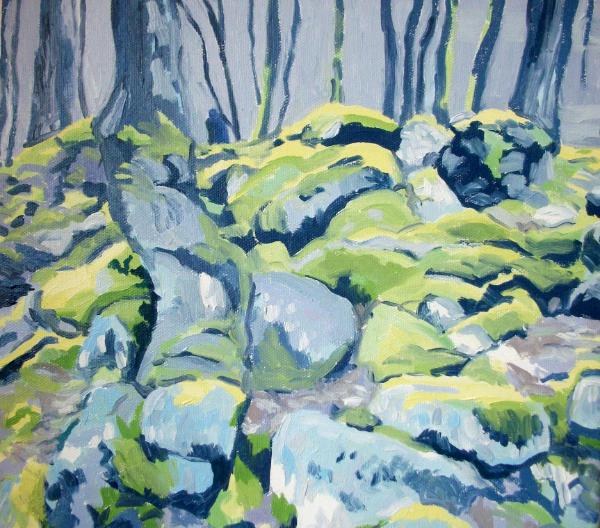 Moss-covered rocks on Dartmoor ("the man in the blue coat")
