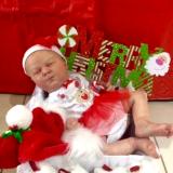Christmas 2016 Show entry: Kimberly (M.P)