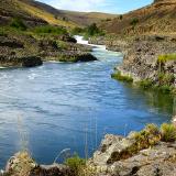 Deschutes River's Sherars Falls 