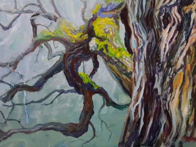 Bur Oak Bur Oak
