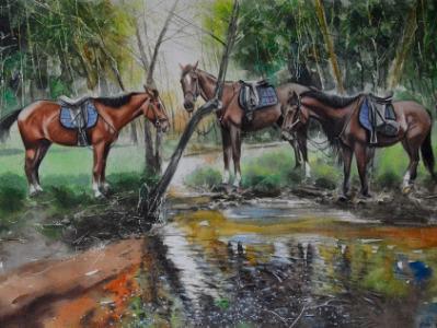 Horses in the forest, 38xm x 56cm, 2022