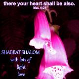 Mt 6:21~Shabbat Shalom