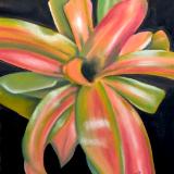 "Bromeliad with Hightlights"