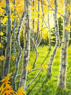 Backlit Aspen Backlit Aspen