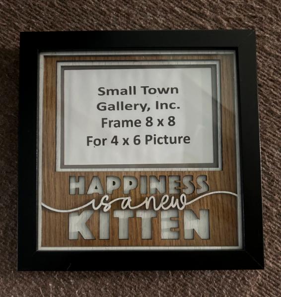 Kitten