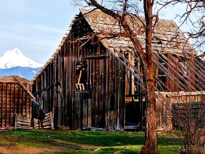 Schrieber Homestead Barn & Mt. Hood