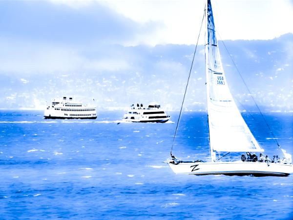 Sails Meet Ferry Boats