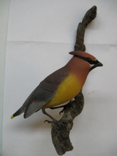 Cedar Waxwing #3  SOLD