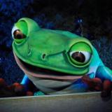 Video Clip: Steve Wynn's Singing Frog