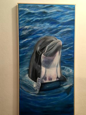 Dolphin Dolphin