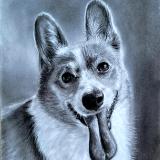 Charcoal