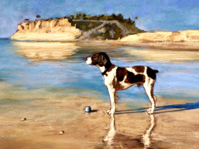 Dog Beach Dog Beach