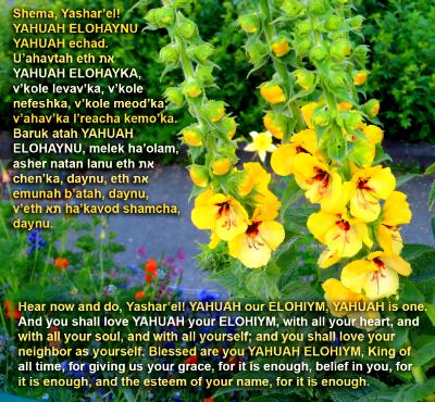 Blessing_Day 5_Morning Blessing_Day 5_Morning