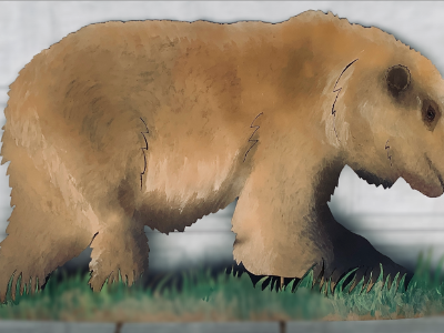 Grizzly Bear Grizzly Bear