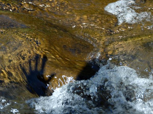 Living Waters