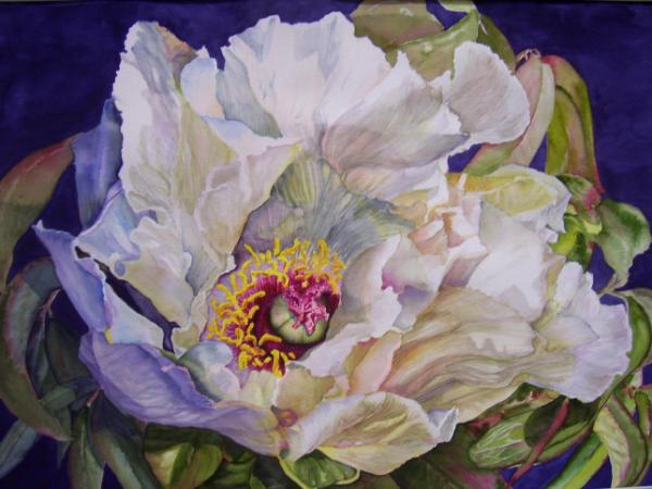 Peony I