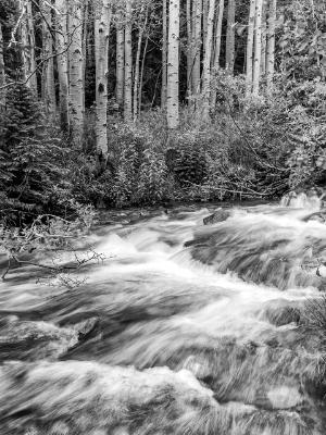 Glacier Creek and Aspen Forest Glacier Creek and Aspen Forest