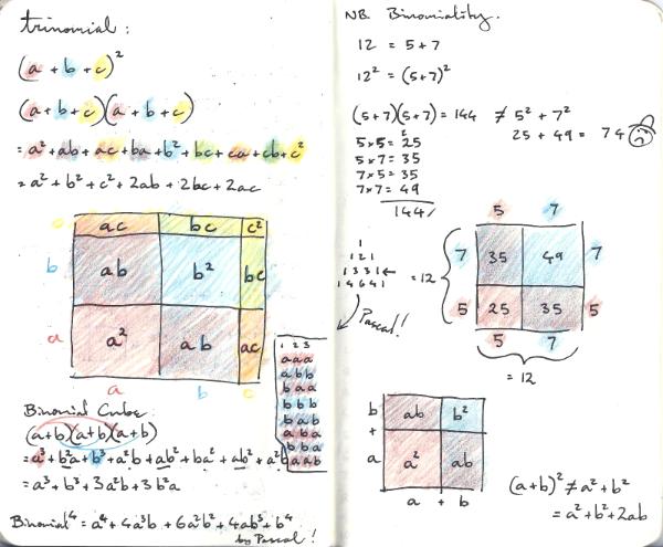 Binomial Square & Cube, Trinomial Square