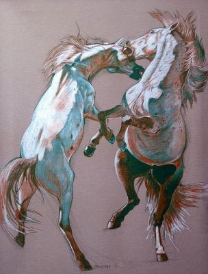 Fighting Stallions Fighting Stallions