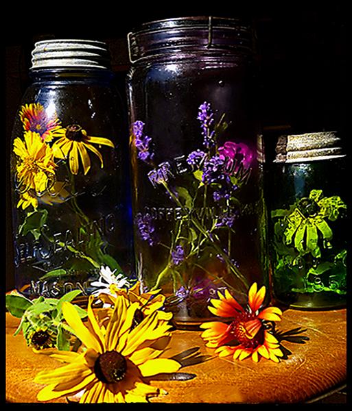 Garden Flowers