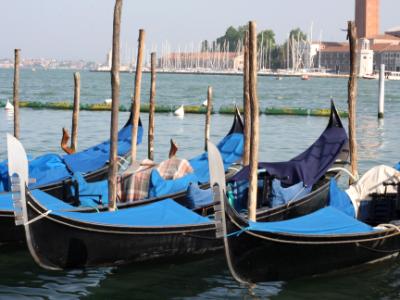 Blue Gondolas in Venice Blue Gondolas in Venice